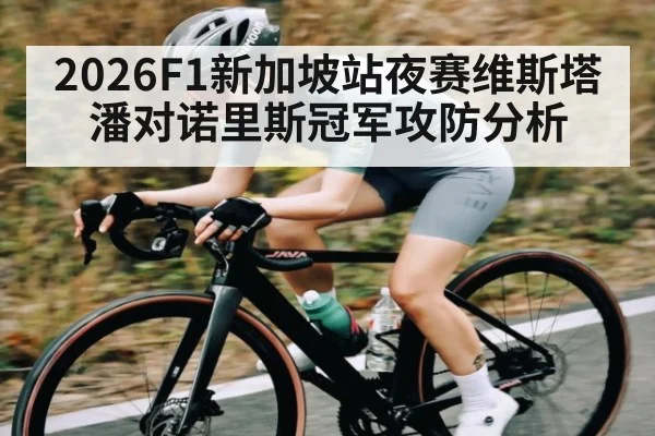 2026F1新加坡站夜赛维斯塔潘对诺里斯冠军攻防分析